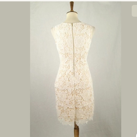 ❌SOLD❌Ann Taylor LOFT Lace Overlay Sheath Dress - Picture 4 of 6